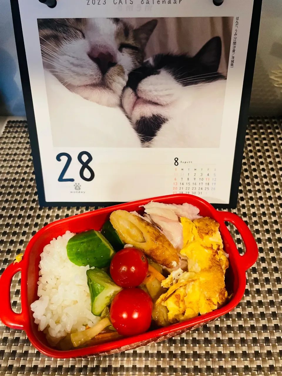 Snapdishの料理写真:20230828🍱今日の自分弁当🍱|akiyo22さん