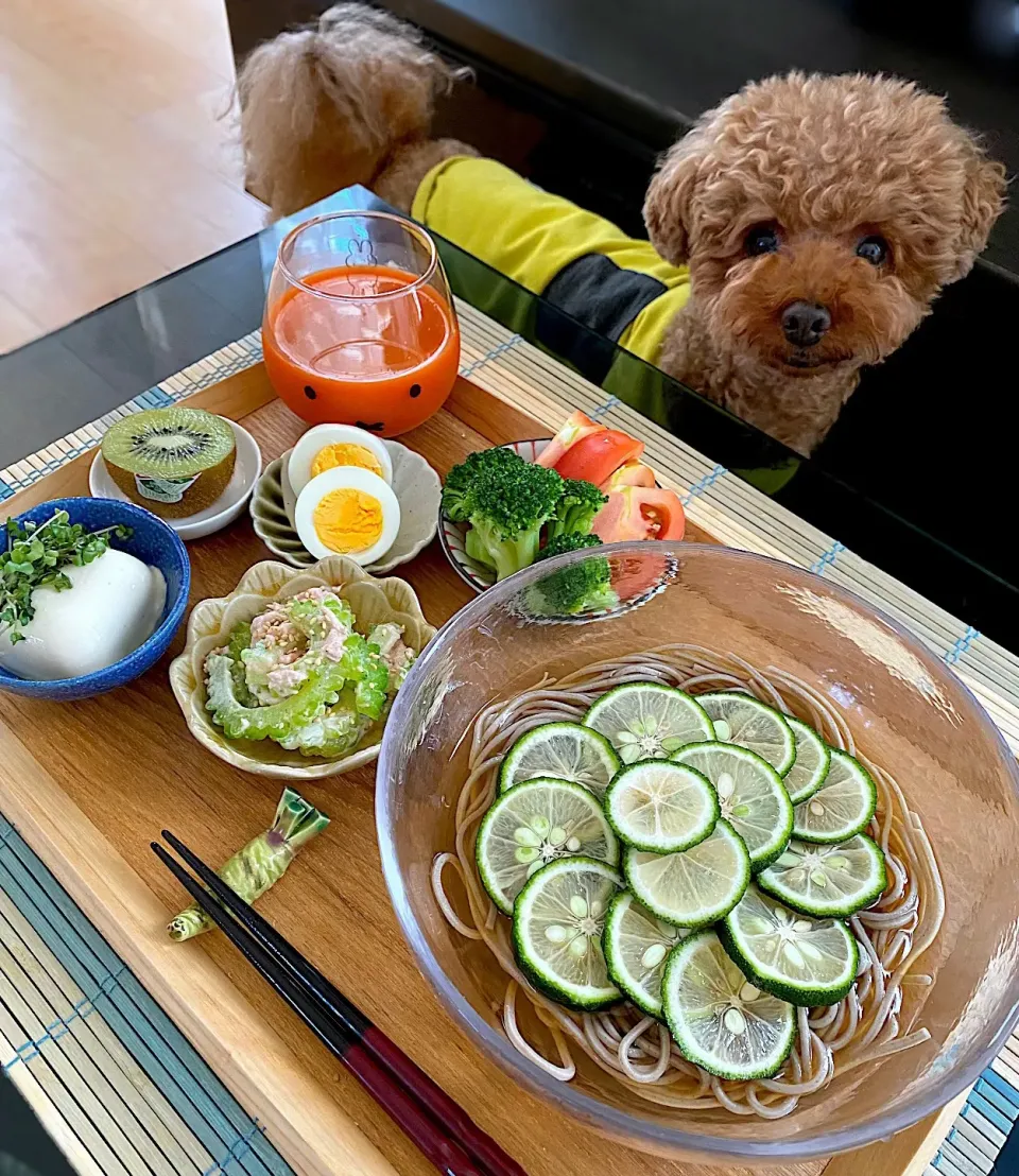 ゆかりさんの料理 すだち素麺🥢|ゆかりさん