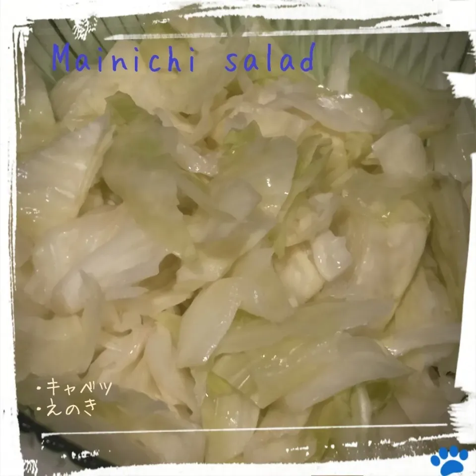 まいにちサラダ|osanpowankoさん
