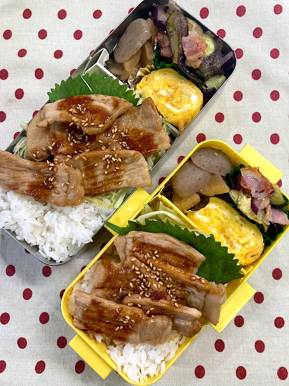 Snapdishの料理写真:8月29日 今日も猛暑(？)弁当🍱|sakuramochiさん