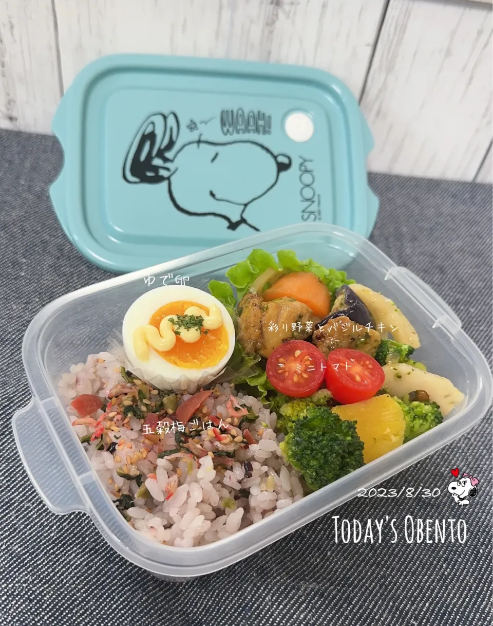 Snapdishの料理写真:今日のお弁当🍱|✰︎miyu✰︎さん