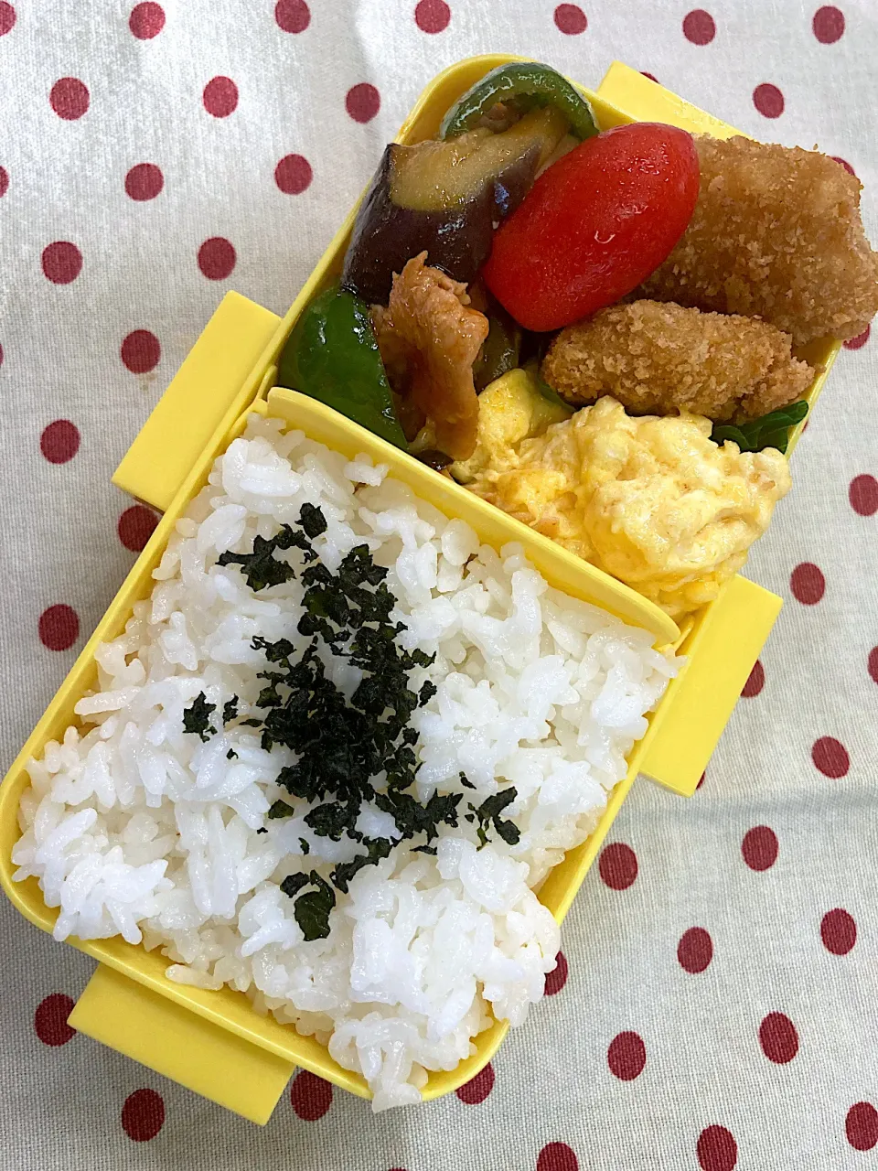 Snapdishの料理写真:8月30日 娘のみの お弁当🍱|sakuramochiさん