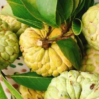 Snapdishの料理写真:custard apple|thanhhloannさん