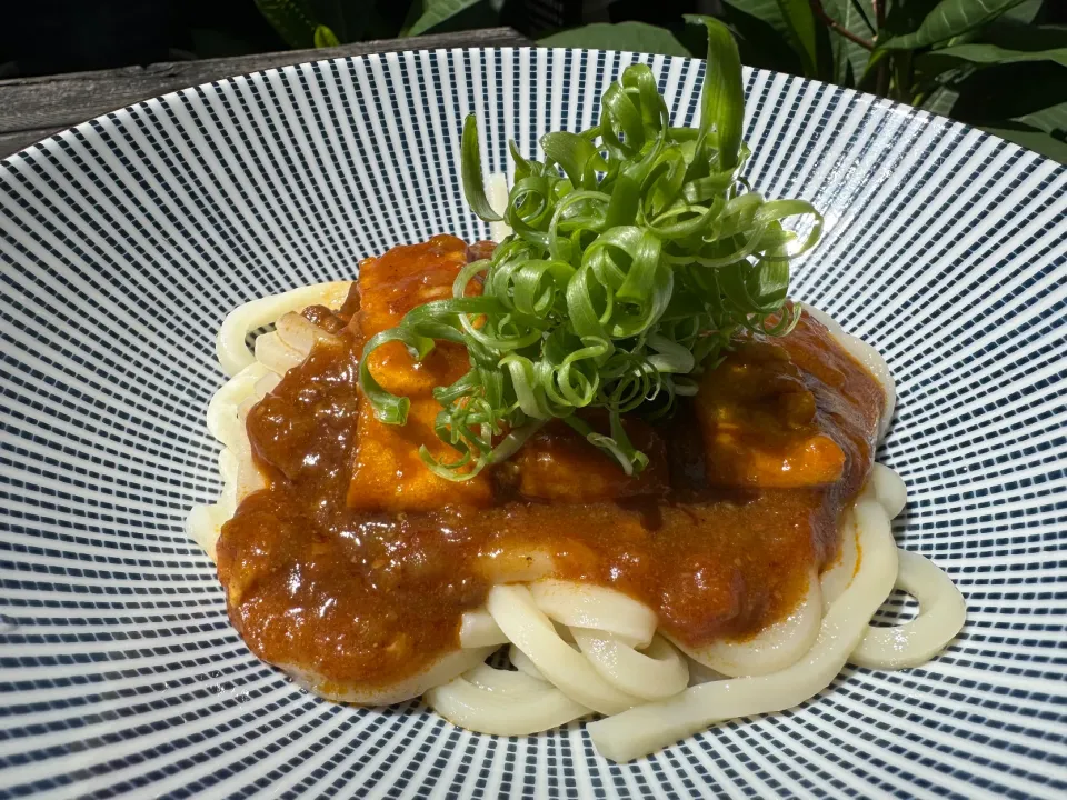 カレーうどん　九条ねぎ　油揚げ|まささん