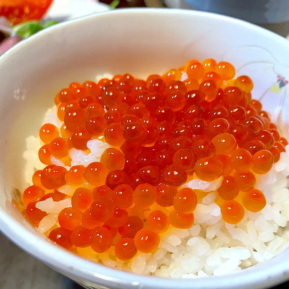 いくらの醤油漬け飯|DKさん