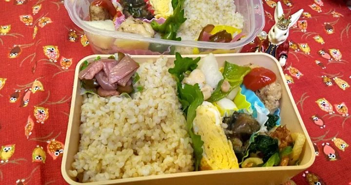 '23．9/1
本日のお弁当🍱|たえさん