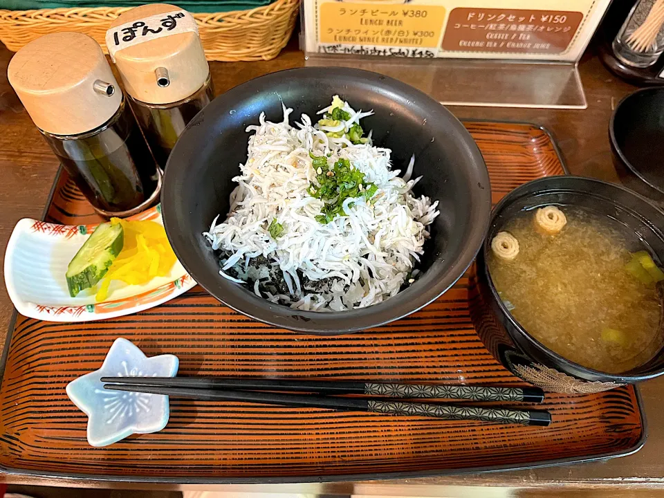 釜揚げしらす丼|じょんさん