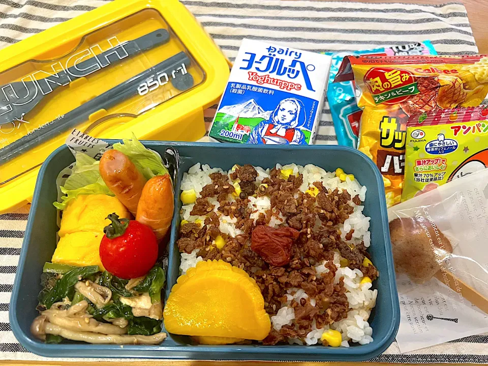 今日のヤツのお弁当（R5.9.1）|え〜かさん