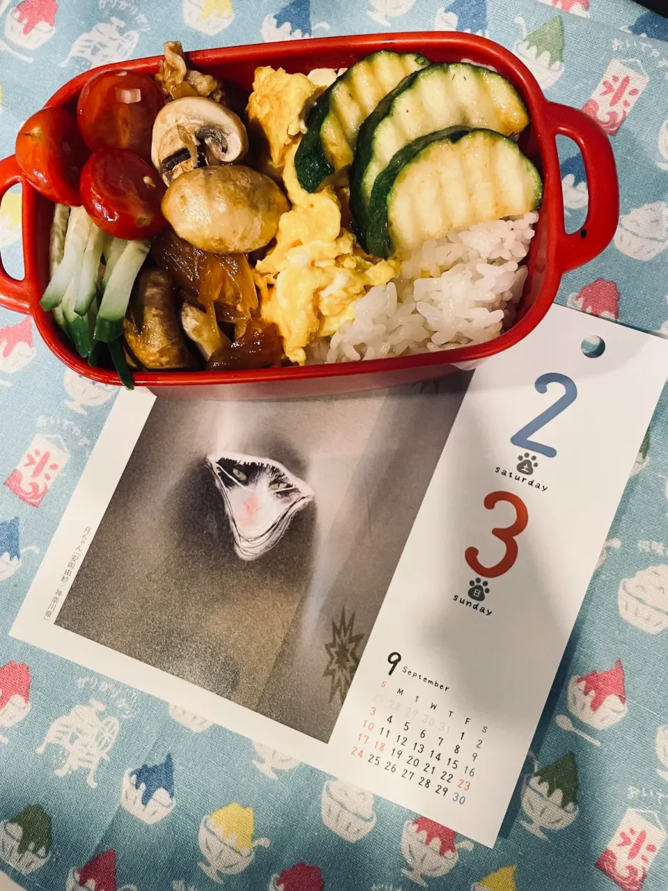 20230902🍱今日の自分弁当🍱|akiyo22さん