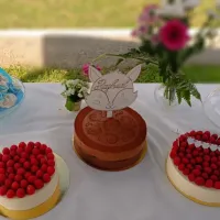 Snapdishの料理写真:Gâteaux de baptême entremet tiramisu framboise, entremet 100% chocolat 70% et meringue.|Sebastien Hachardさん