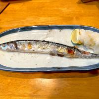 初サンマ