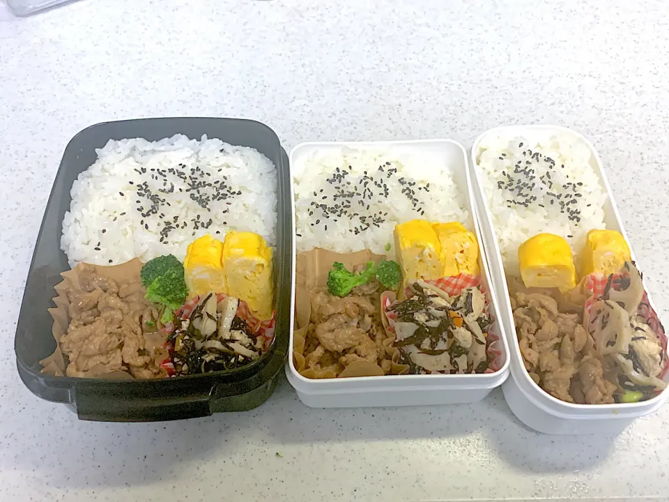 Snapdishの料理写真:2023年9月5日お弁当🍱|もぐぷーさん