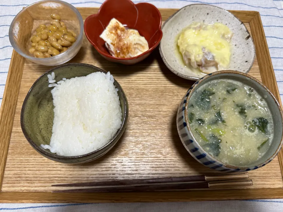 Snapdishの料理写真:|そうめがさん