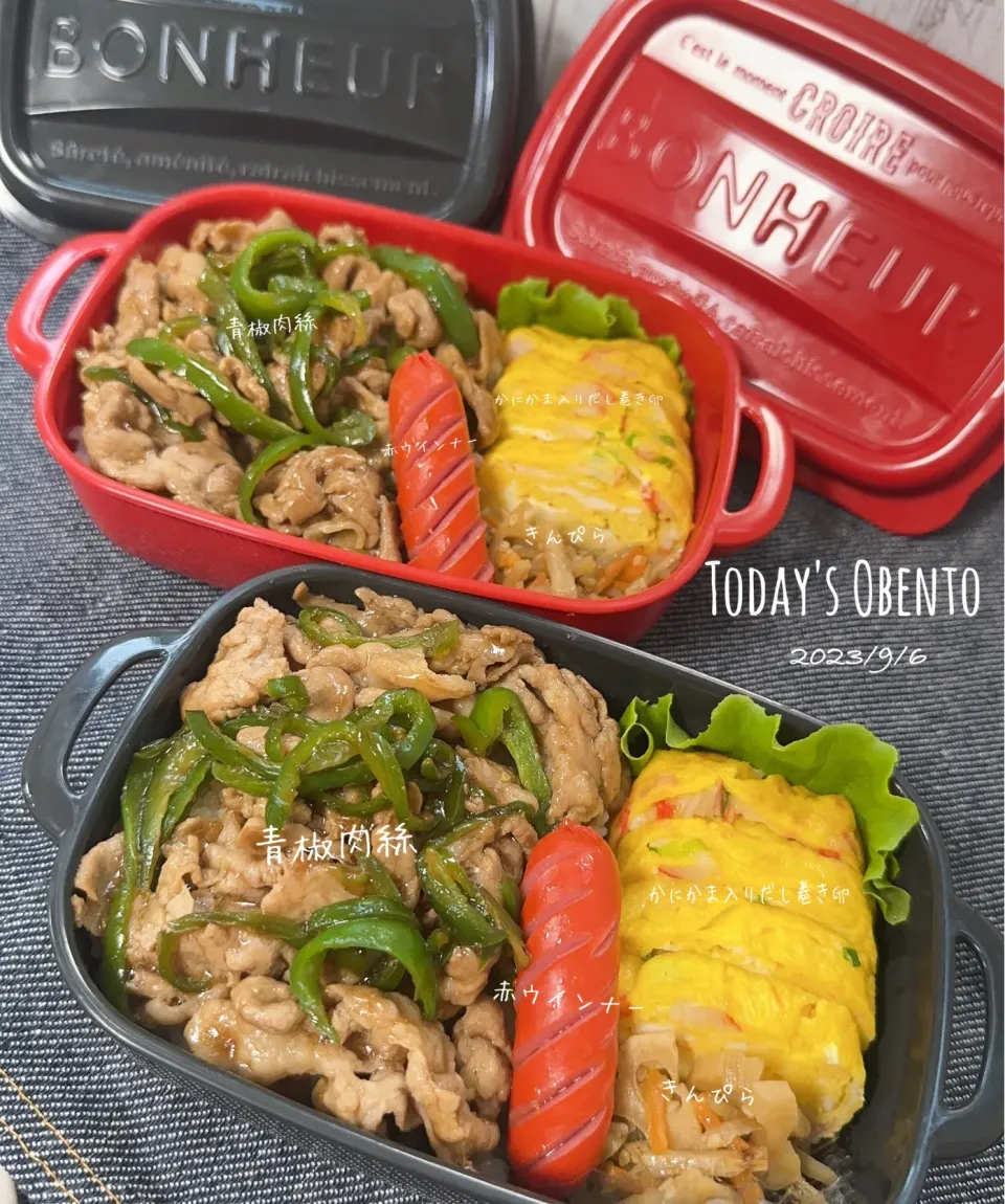 今日のお弁当🍱|✰︎miyu✰︎さん