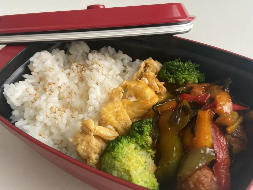 Snapdishの料理写真:今日の旦那弁当|さちかさん