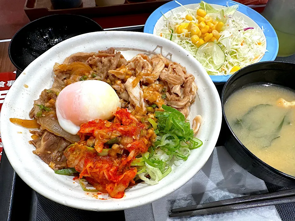 鶏肉コンボ牛めしに生やさい|マハロ菊池さん