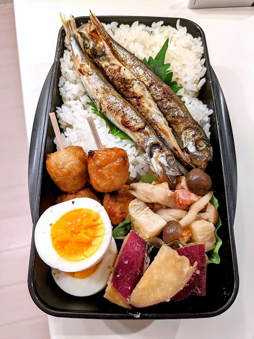 Snapdishの料理写真:ししゃも弁当|きゅーさん