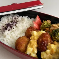 Snapdishの料理写真:今日の旦那弁当|さちかさん