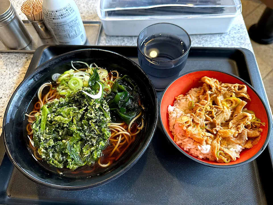 Snapdishの料理写真:590円セット(そばにミニ旨辛豚丼)に春菊天|マハロ菊池さん