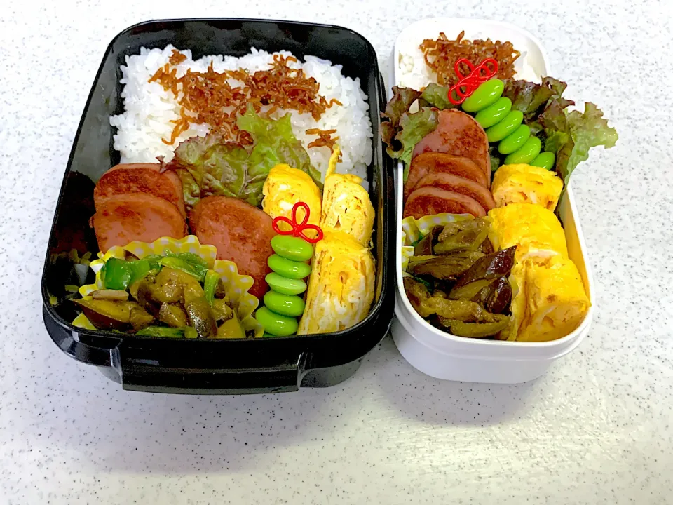 Snapdishの料理写真:2023年9月8日お弁当🍱|もぐぷーさん