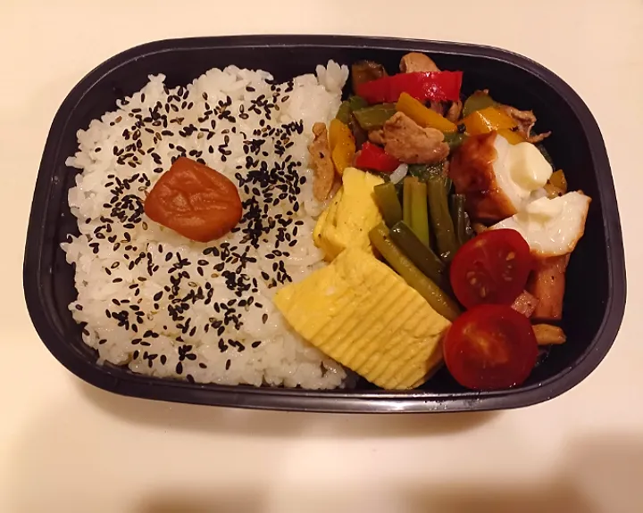 お弁当🍱|ティガさん