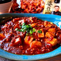 ダイズラボ　本格麻婆豆腐