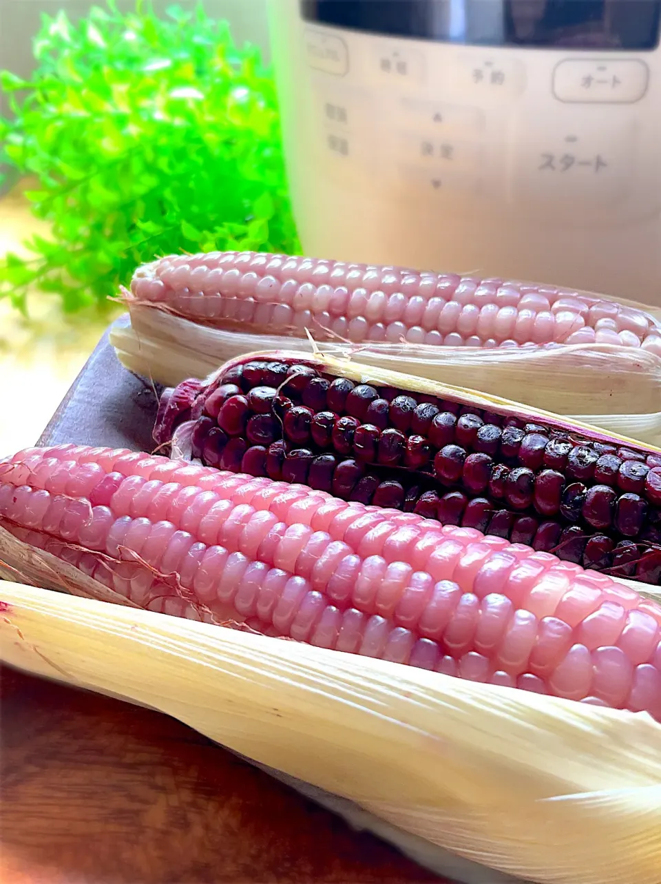 シロカおうちシェフProで蒸し「もちきび」♨️|9421beruさん