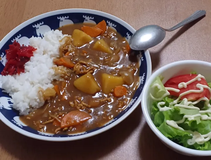 Snapdishの料理写真:カレーとサラダ|ナナさん