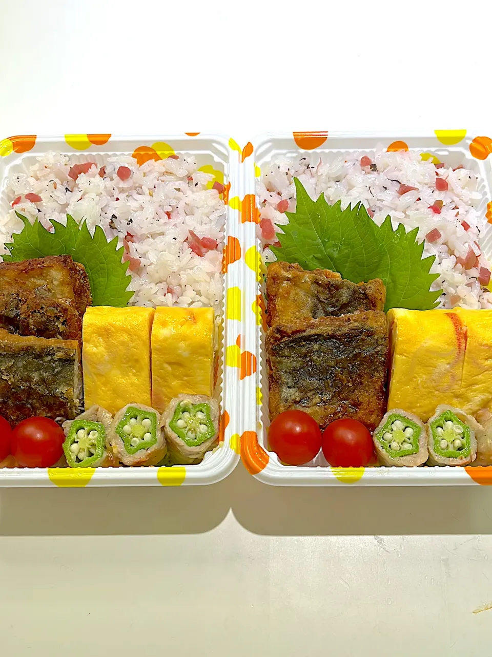 カリカリ梅ご飯弁当🍱|mirrorさん