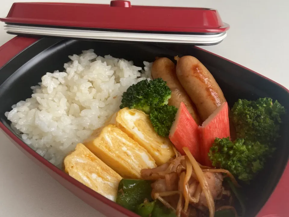 今日の旦那弁当|さちかさん