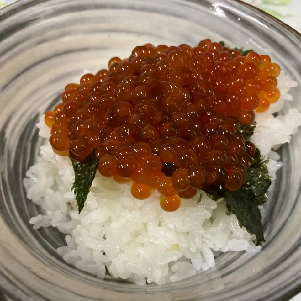 いくら丼|ここさん