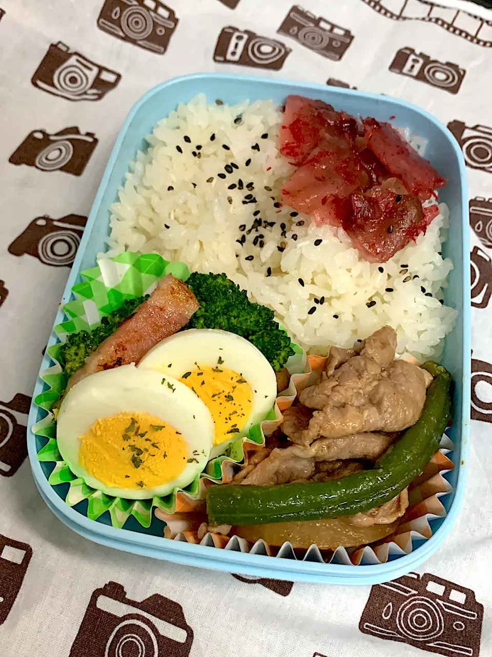 Snapdishの料理写真:お弁当123個目|ヘパリン2.5さん