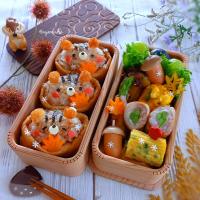 🍁🐿️リスのお稲荷さん弁当🐿️🍁