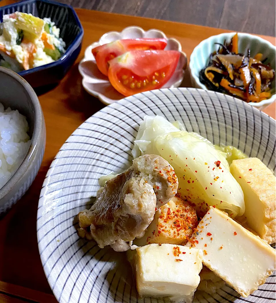 鶏と厚揚げの煮物|ちぐあささん