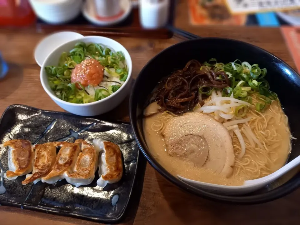 龍の髭🍜|ひなねこさん