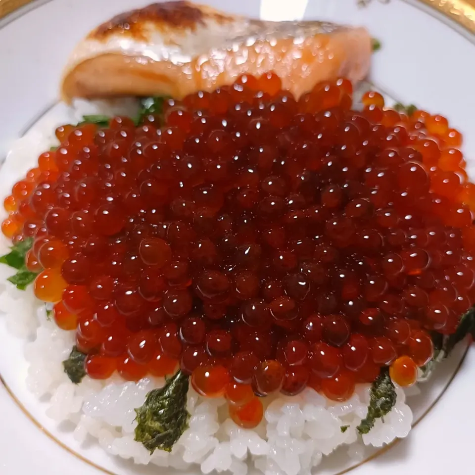 秋を感じる☺️鮭いくら丼|はるさん