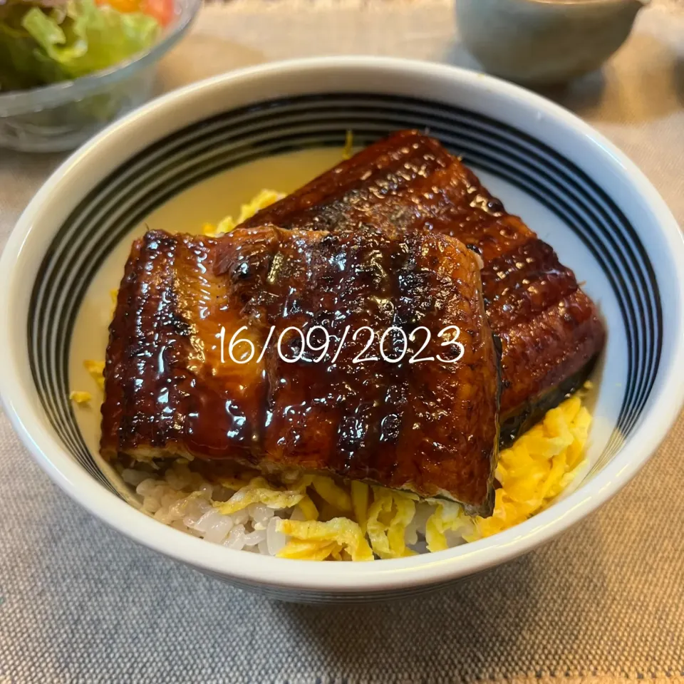 鰻丼|友さん