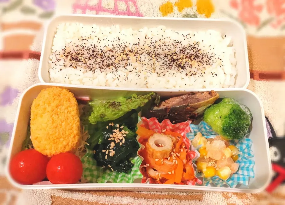 9月17日 今日のお弁当|ビアンカさん