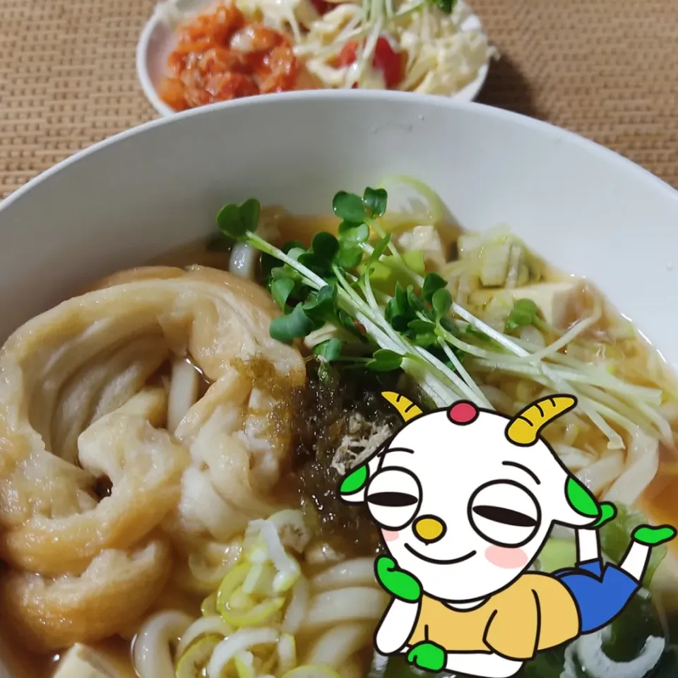 具だくさんの温うどん|Rピージャーさん