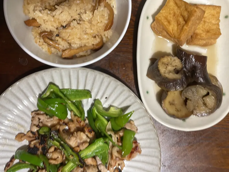 Snapdishの料理写真:豚肉の青椒肉絲　厚揚げと茄子の煮物　しめじの混ぜご飯|みやびさん