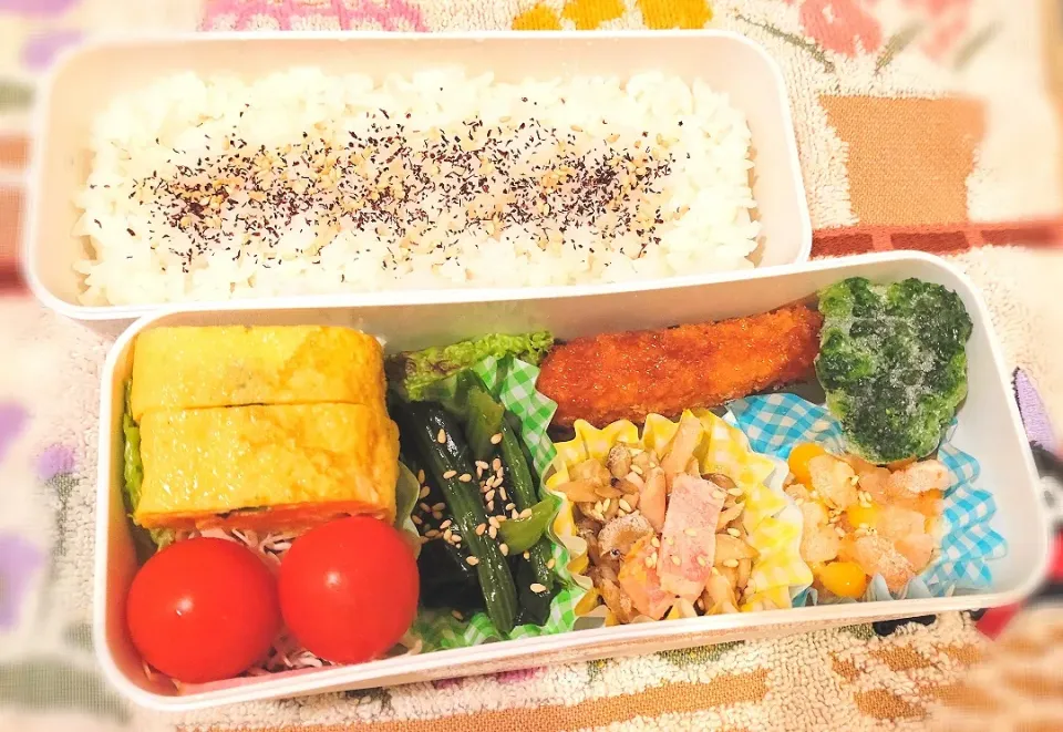 9月18日 今日のお弁当|ビアンカさん