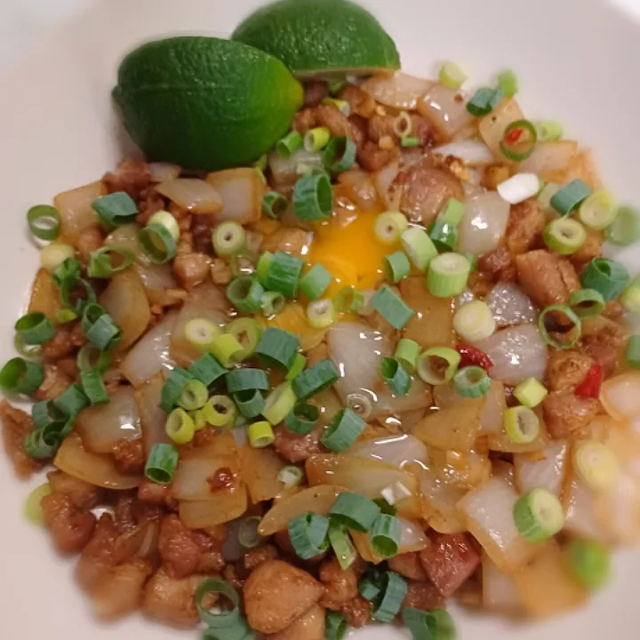 狸の宴シリーズ
今宵の御料理
[フィリピン料理]
Sisig(シシグ)　
東京/四ッ谷/オテル・ドゥ・ミクニ
オーナーシェフ　三國清三氏レシピ
※あの世界の巨匠と言われる、
三國シェフです‼️

YouTubeにレシピがup!されています。
三國　シシグ　で御検索下さい。|タヌキさん