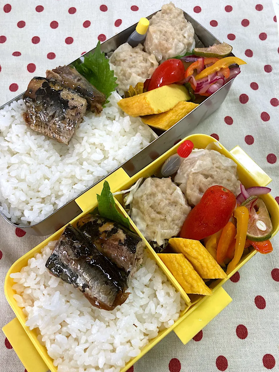 Snapdishの料理写真:９月19日 連休明け 弁当🍱|sakuramochiさん