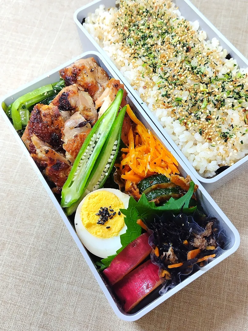 今日のお弁当|めしだママさん