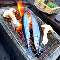 秋の味覚🍄🐟🔥😋