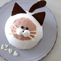 猫好き娘に贈る猫ケーキ𓂃𖤥𖥧𖥣⋆*