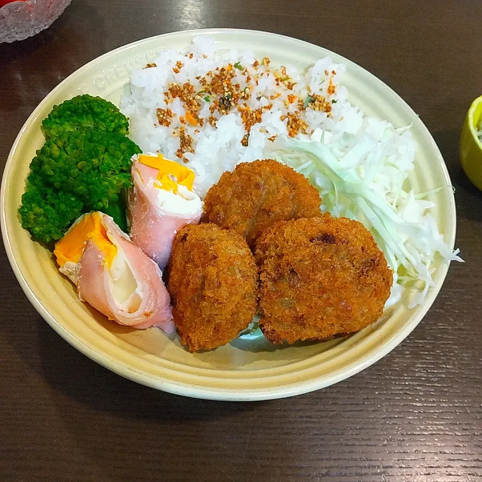 Snapdishの料理写真:ごぼうメンチカツ弁当🍱|Rieさん