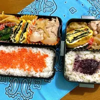 Snapdishの料理写真:スピード弁当(豚肉の塩だれ・海苔だし巻き卵・じゃがいものガレット・ほうれん草の胡麻和え)|はなはなさん