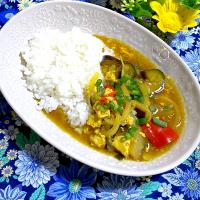 鶏ひき肉と野菜の和風カレー🌻