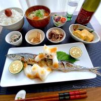 新物🌸生秋刀魚の塩焼き定食🐱🐟